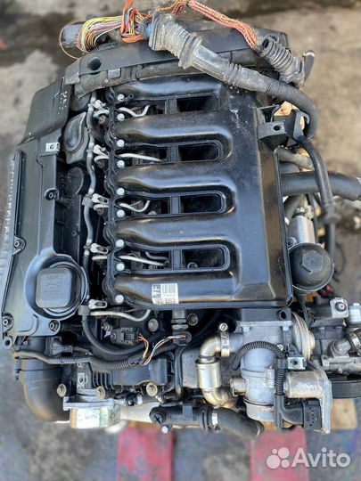 Двигатель, BMW 5 E60/E61 2009