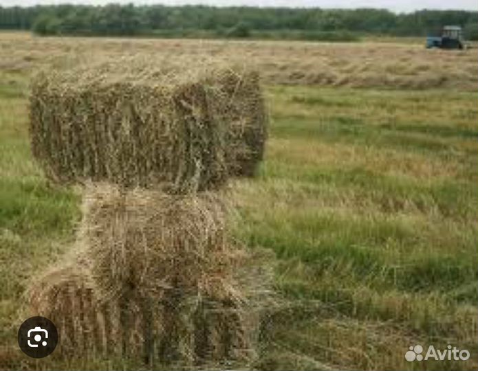 Сено в тюках разнотравье