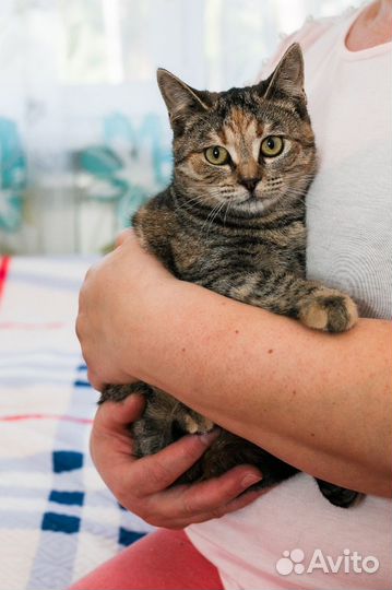 Дашу выбросили в коробке замотанной скотчем