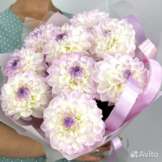 Букет 1 сентября с бесплатной доставкой георгины