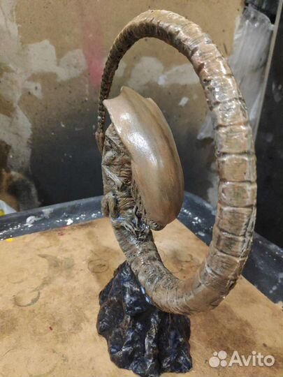 Чужой зародыш