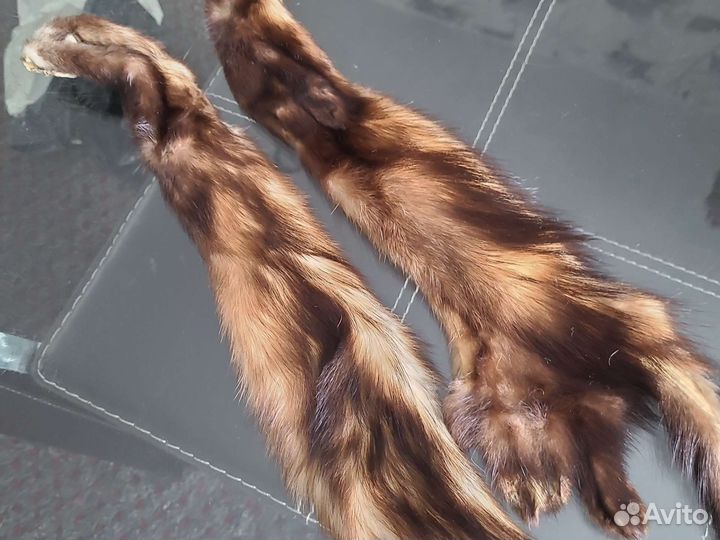 Меховой воротник лиса, хорь