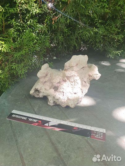 Камни в аквариум