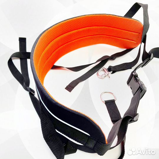 Пояс для каникросса и прогулок с собакой