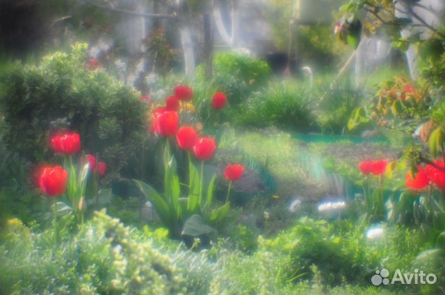 Продажа и изготовление Объектив монокль