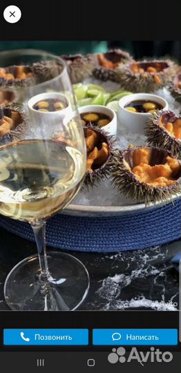 Живые морепродукты