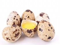 Яйца перепелиные гипоаллергенные