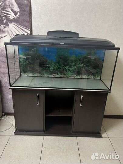Аквариум