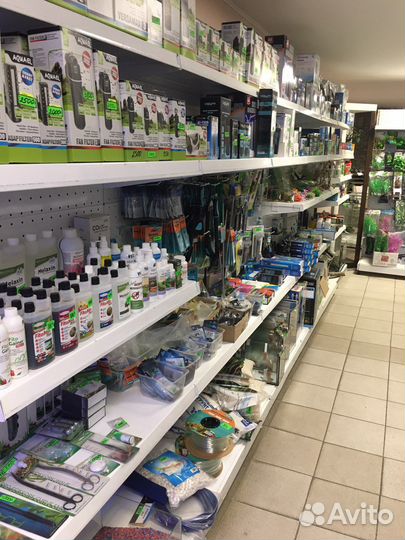 Аквариумные рыбки и растения в Краснодаре