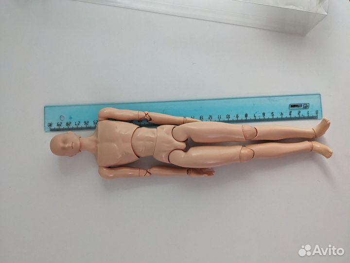 Volks тело мужское+голова