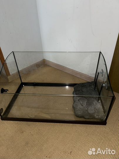 Красноухая черепаха с аквариумом