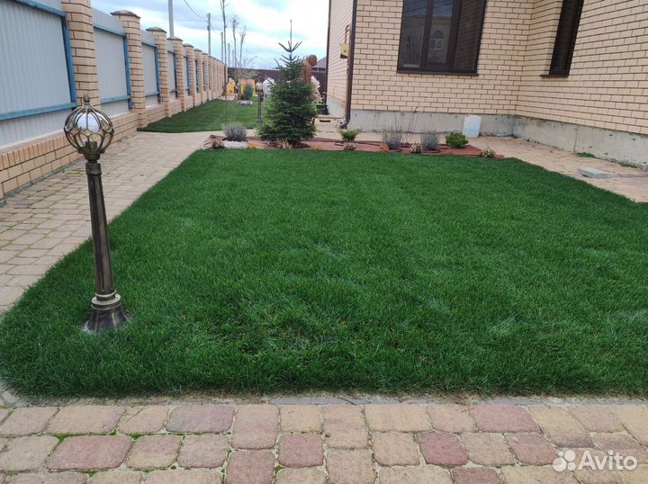 Укладка рулонного газона