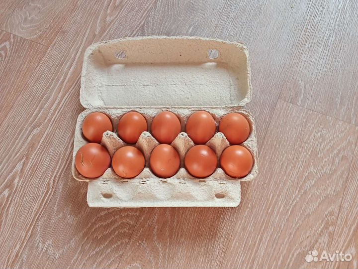 Домашние куриные яйца
