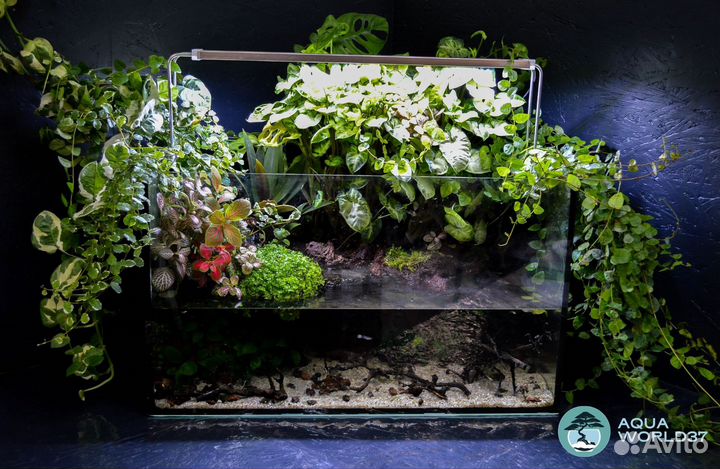 Дизайн, Оформление, Обслуживание Аквариумов