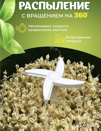 Проращиватель семян