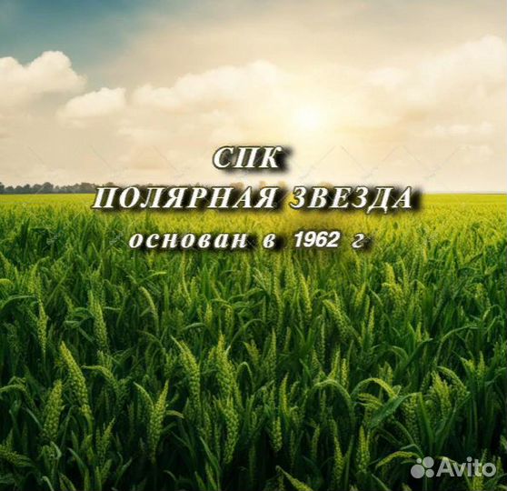 Тракторист-механизатор