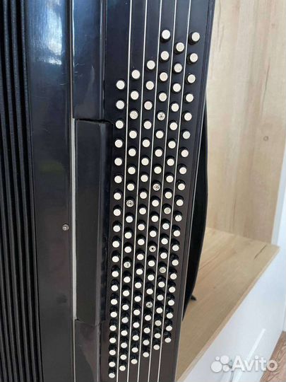 Баян ясная поляна