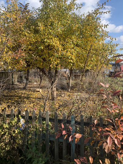 Дача 15,6 м² на участке 4,3 сот.