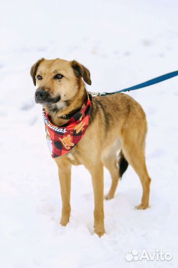 Озорная девочка Рейчел