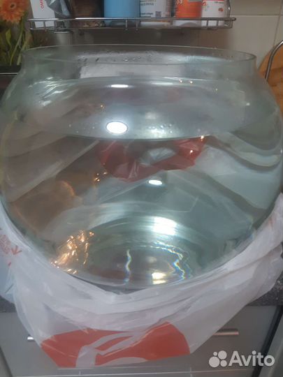Аквариум круглый