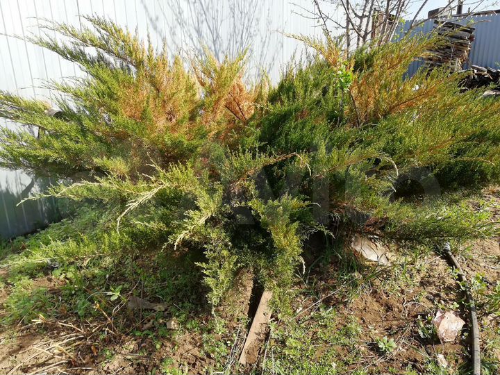 Дом 56 м² на участке 6 сот.