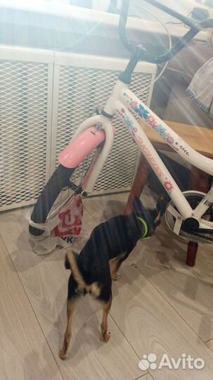 Детский велосипед 16 Kreiss