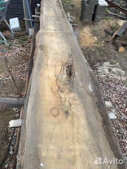 Доска необрезная 40