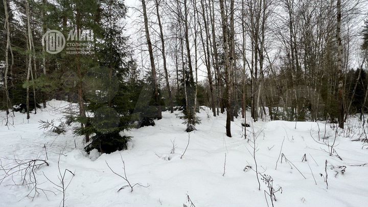 Участок 1,19 га (промназначения)