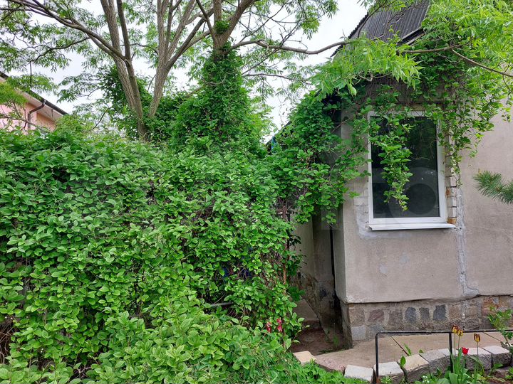 Дача 50 м² на участке 6 сот.