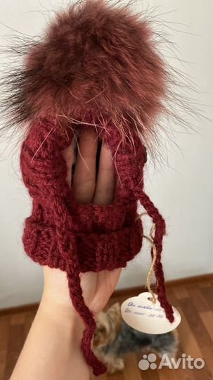 Одежда для собак