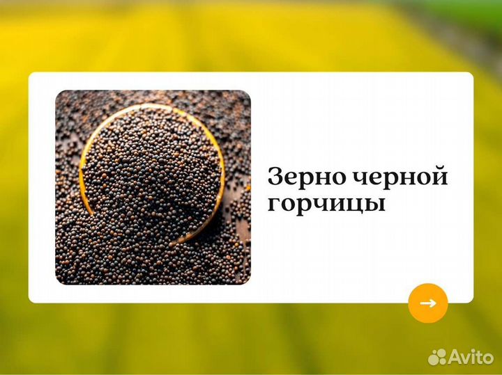 Чёрная горчица (кг)