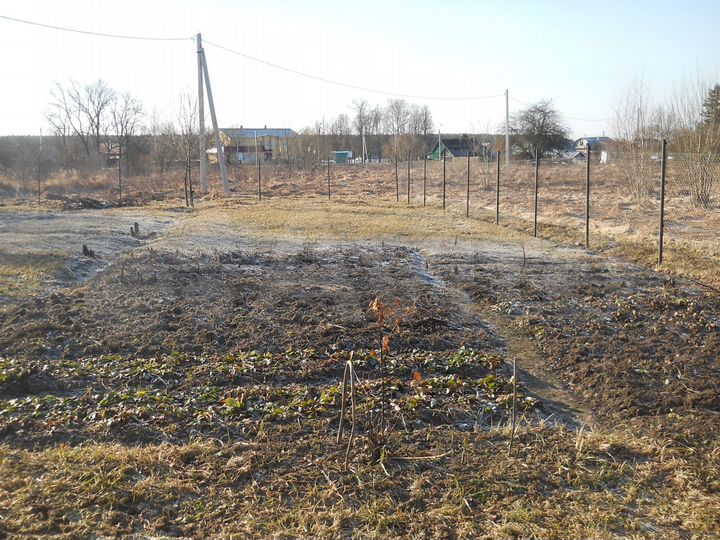 Участок 11 сот. (ИЖС)
