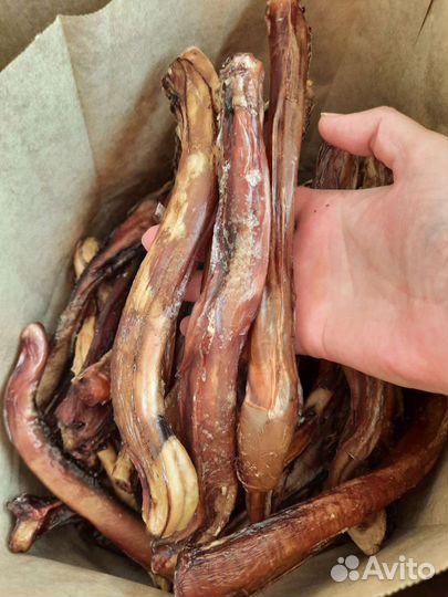 Лакомство для собак всех пород