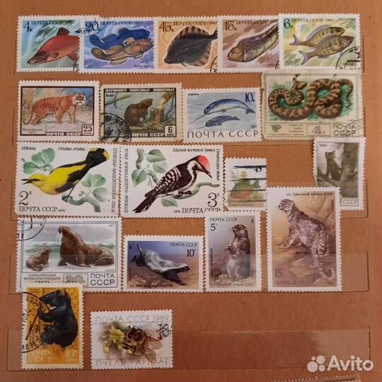 Марки СССР Флора Фауна бабочки собачки и проч