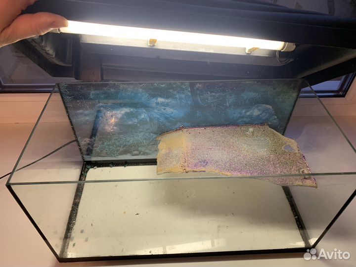 Аквариум 30 л для красноухой черепахи