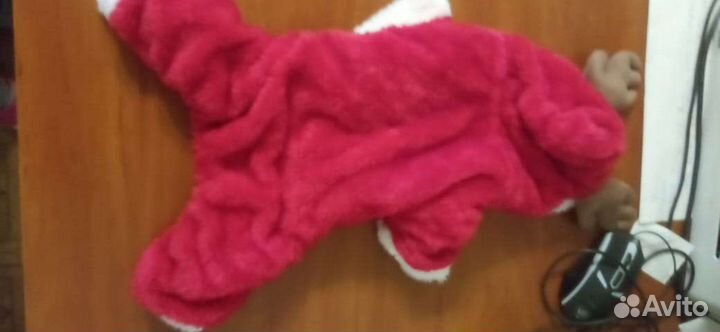 Шикарный новогодний костюм для маленькой собачки