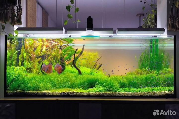 Изготовление и обслуживание аквариумов/клеток