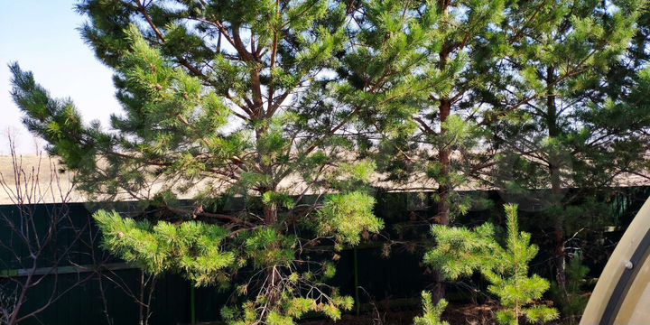 Дача 53 м² на участке 10 сот.