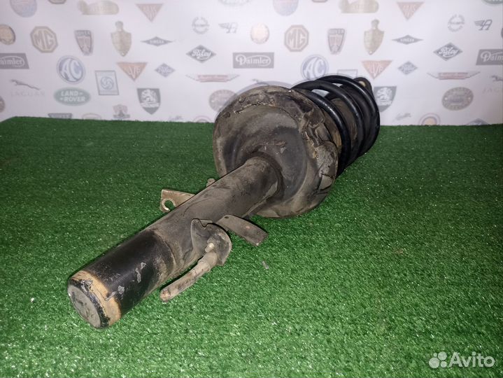Амортизатор передний правый Форд Фокус 3