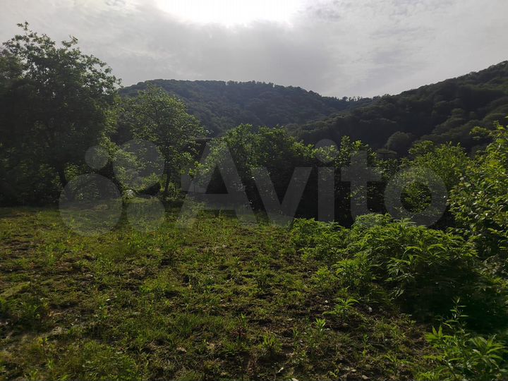 Участок 4 сот. (СНТ, ДНП)