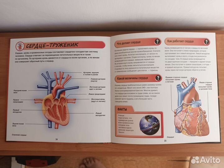 Книга энциклопедия 