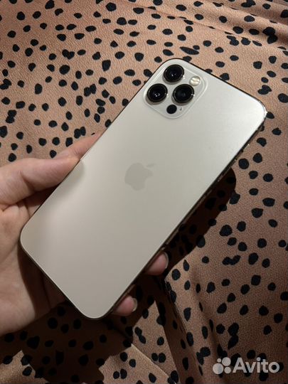 iPhone 12 Pro, 256 ГБ