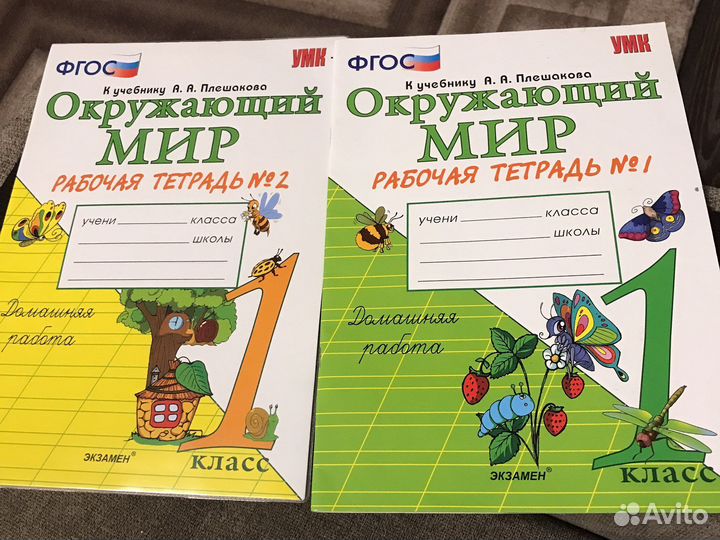 Рабочие тетради окр.мир 1 класс