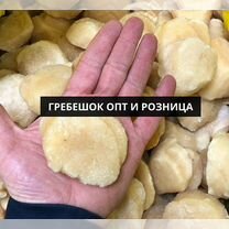 М�орской гребешок опт