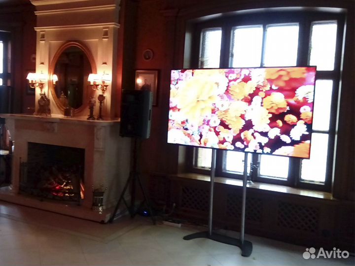 Аренда телевизора TV плазма