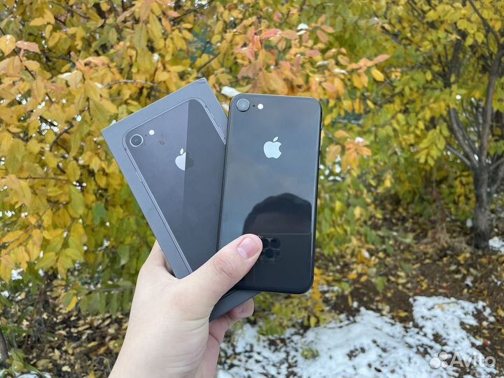 iPhone 8, 64 ГБ