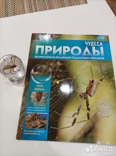 Журнал Чудеса природы # 10