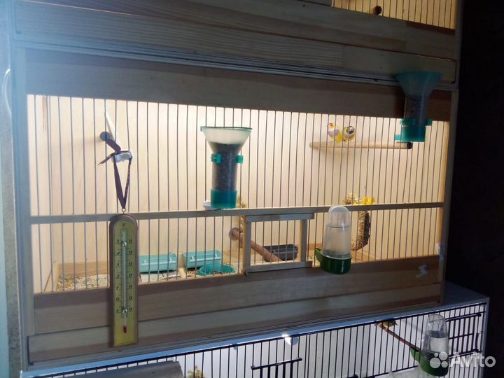 Боксы для разведения птиц