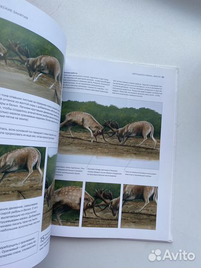 Книга животные рисование