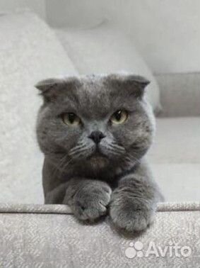 Видео монтажер